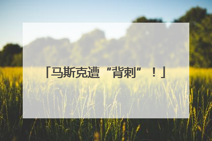 马斯克遭“背刺”！