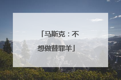 马斯克：不想做替罪羊