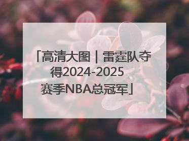 高清大图｜雷霆队夺得2024-2025赛季NBA总冠军
