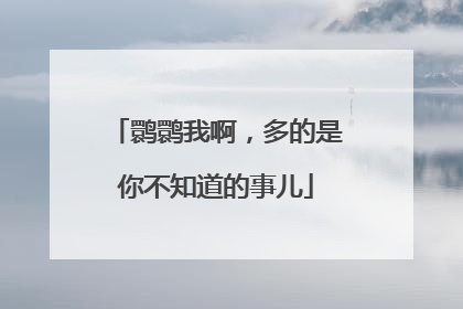 鹮鹮我啊，多的是你不知道的事儿