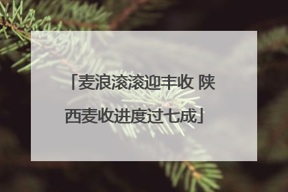 麦浪滚滚迎丰收 陕西麦收进度过七成