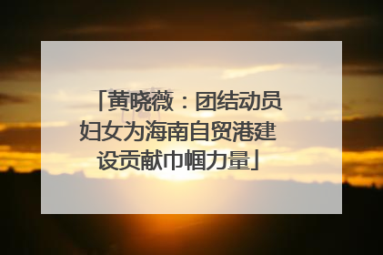 黄晓薇：团结动员妇女为海南自贸港建设贡献巾帼力量
