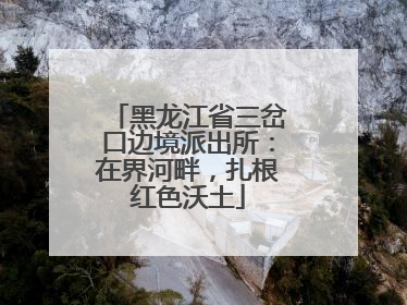 黑龙江省三岔口边境派出所：在界河畔，扎根红色沃土