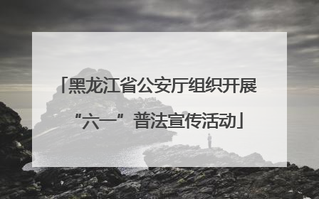 黑龙江省公安厅组织开展“六一”普法宣传活动