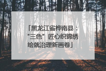 黑龙江省桦南县：“三色”匠心织锦绣 绘就治理新画卷