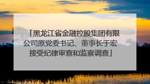 黑龙江省金融控股集团有限公司原党委书记、董事长于宏接受纪律审查和监察调查