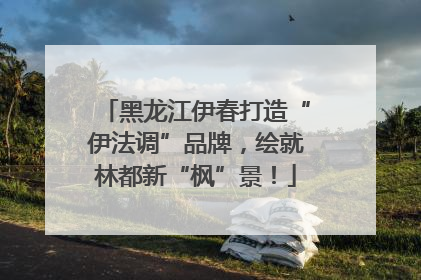 黑龙江伊春打造“伊法调”品牌，绘就林都新“枫”景！