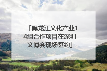 黑龙江文化产业14组合作项目在深圳文博会现场签约