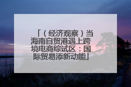 （经济观察）当海南自贸港遇上跨境电商综试区：国际贸易添新动能
