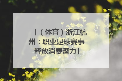 （体育）浙江杭州：职业足球赛事释放消费潜力