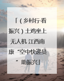 （乡村行·看振兴）土鸡坐上无人机 江西南康“空中快递员”助振兴