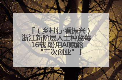 （乡村行·看振兴）浙江新阶层人士种蓝莓16载 盼用AI赋能“二次创业”