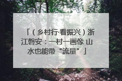 （乡村行·看振兴）浙江磐安：一村一画像 山水也能带“流量”