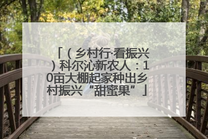 （乡村行·看振兴）科尔沁新农人：10亩大棚起家种出乡村振兴“甜蜜果”