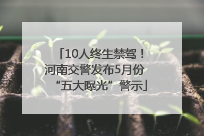 10人终生禁驾！河南交警发布5月份“五大曝光”警示