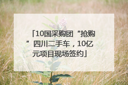 10国采购团“抢购”四川二手车，10亿元项目现场签约