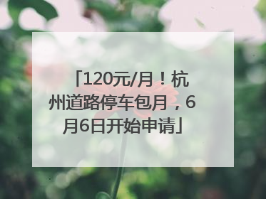 120元/月！杭州道路停车包月，6月6日开始申请