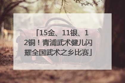 15金、11银、12铜！青浦武术健儿闪耀全国武术之乡比赛