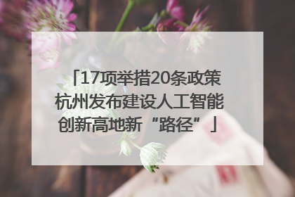 17项举措20条政策 杭州发布建设人工智能创新高地新“路径”
