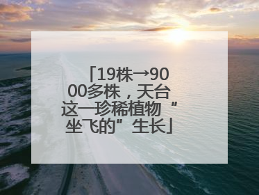 19株→9000多株，天台这一珍稀植物“坐飞的”生长