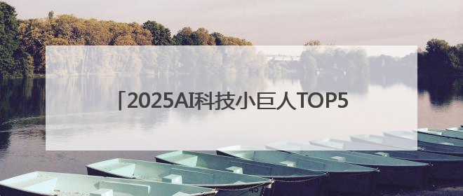 2025AI科技小巨人TOP50榜单公布，DeepSeek、宇树科技、蘑菇车联等企业荣誉上榜