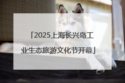 2025上海长兴岛工业生态旅游文化节开幕