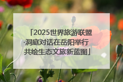 2025世界旅游联盟·洞庭对话在岳阳举行 共绘生态文旅新蓝图