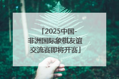 2025中国-非洲国际象棋友谊交流赛即将开赛