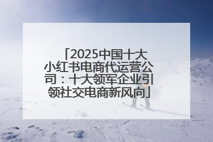 2025中国十大小红书电商代运营公司：十大领军企业引领社交电商新风向
