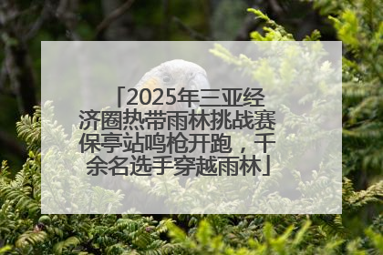 2025年三亚经济圈热带雨林挑战赛保亭站鸣枪开跑，千余名选手穿越雨林