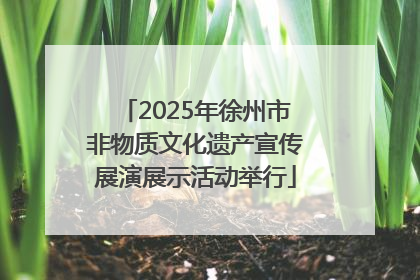 2025年徐州市非物质文化遗产宣传展演展示活动举行