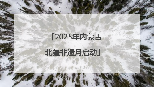 2025年内蒙古北疆非遗月启动