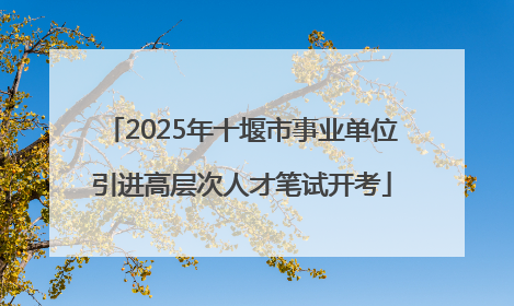 2025年十堰市事业单位引进高层次人才笔试开考