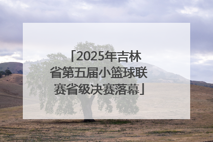 2025年吉林省第五届小篮球联赛省级决赛落幕
