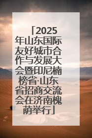 2025年山东国际友好城市合作与发展大会暨印尼楠榜省·山东省招商交流会在济南槐荫举行