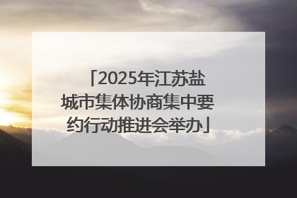 2025年江苏盐城市集体协商集中要约行动推进会举办