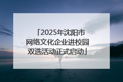 2025年沈阳市网络文化企业进校园双选活动正式启动