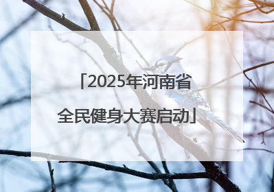 2025年河南省全民健身大赛启动