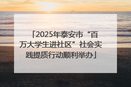 2025年泰安市“百万大学生进社区”社会实践提质行动顺利举办
