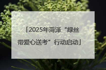 2025年菏泽“绿丝带爱心送考”行动启动