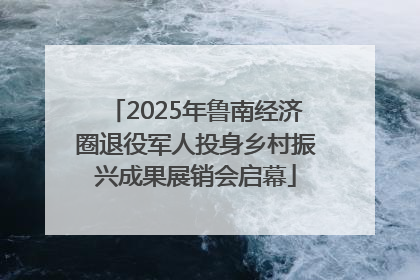 2025年鲁南经济圈退役军人投身乡村振兴成果展销会启幕