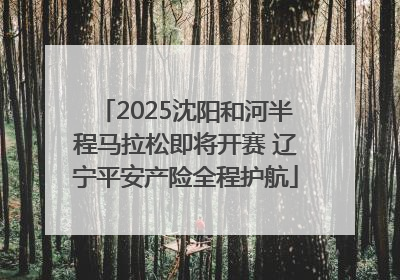 2025沈阳和河半程马拉松即将开赛 辽宁平安产险全程护航