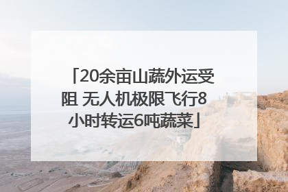 20余亩山蔬外运受阻 无人机极限飞行8小时转运6吨蔬菜