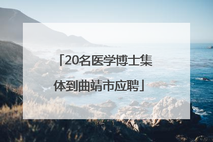 20名医学博士集体到曲靖市应聘