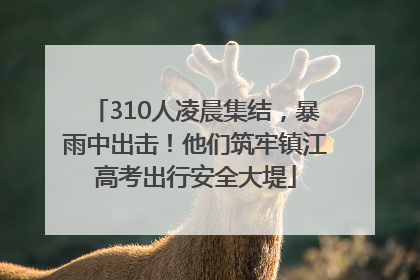 310人凌晨集结，暴雨中出击！他们筑牢镇江高考出行安全大堤