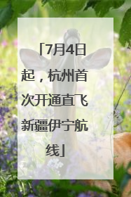 7月4日起，杭州首次开通直飞新疆伊宁航线