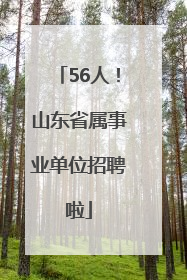 56人！山东省属事业单位招聘啦