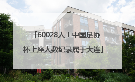 60028人！中国足协杯上座人数纪录属于大连