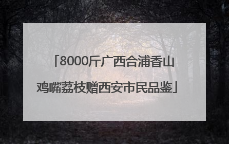 8000斤广西合浦香山鸡嘴荔枝赠西安市民品鉴