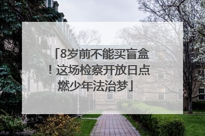8岁前不能买盲盒！这场检察开放日点燃少年法治梦
